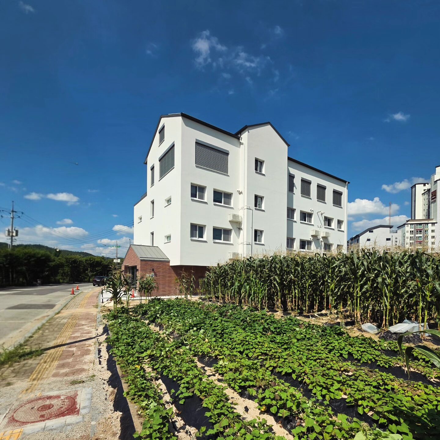 Img 20250823 082210 669