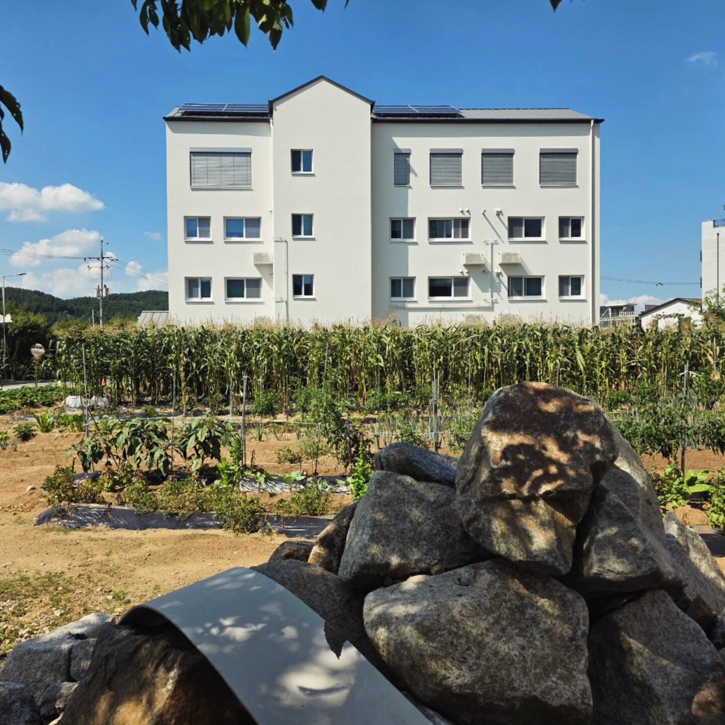 Img 20250823 082210 711