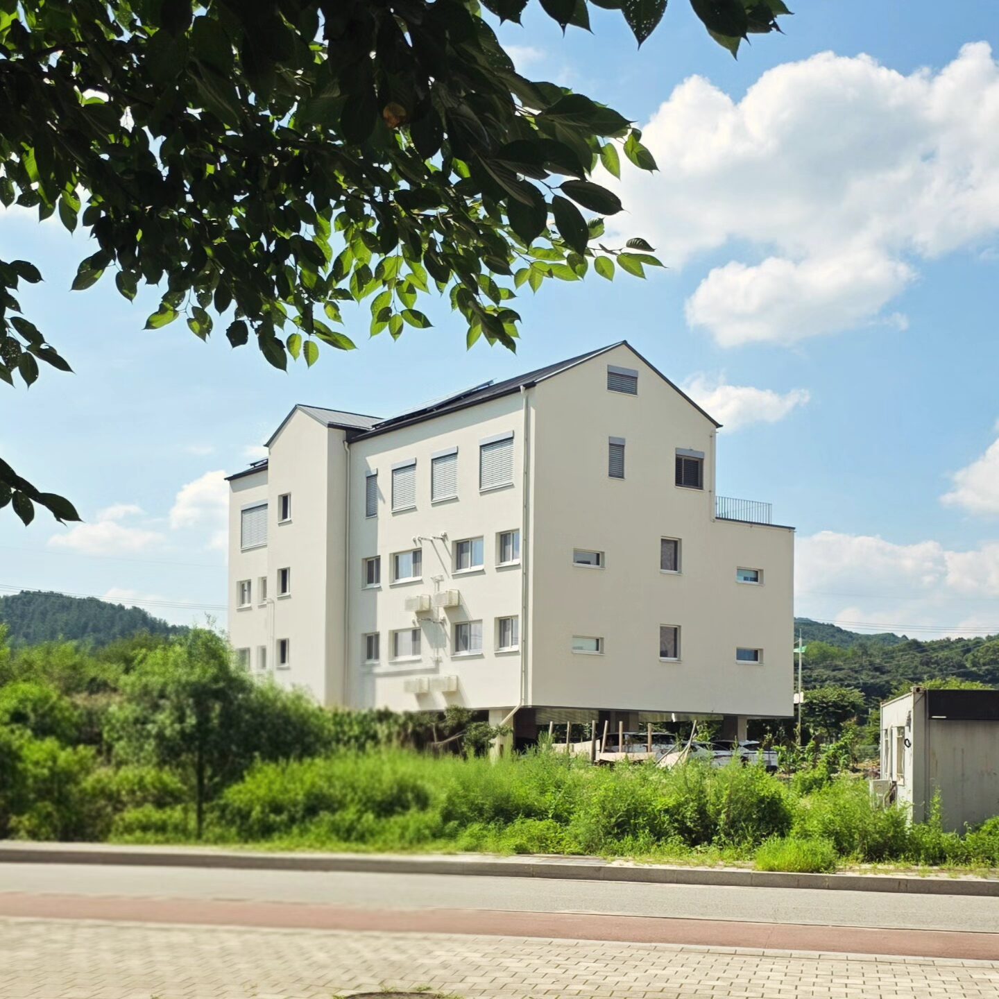 Img 20250823 082210 731